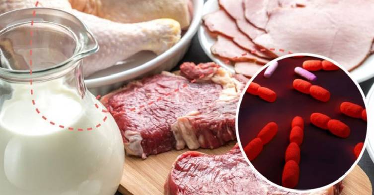 تشخیص لیستریا مونوسیتوژنز؛ گامی مهم در تضمین ایمنی مواد غذایی